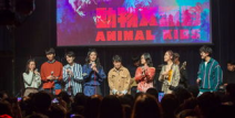 野火娱乐,点燃娱乐新潮流，引领潮流风向标