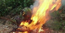 暗黑吃瓜官网入口,带你探索神秘网络世界