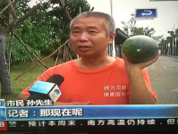 网曝热门事件吃瓜黑,吃瓜黑生成背后的真相与争议
