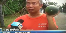 网曝热门事件吃瓜黑,吃瓜黑生成背后的真相与争议