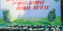 黑瓜网今日大赛最新,激情碰撞，巅峰对决！