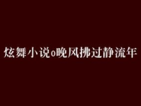 苏文陆晚风小说全文免费阅读,爱恨交织的豪门虐恋
