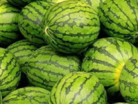 51吃瓜每日大赛,揭秘娱乐圈幕后风云，年度精彩瞬间大盘点