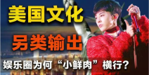 美国娱乐圈综艺,美国娱乐圈综艺全解析
