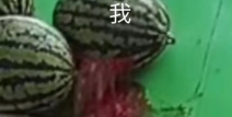 吃瓜在线,揭秘娱乐圈幕后故事，带你领略明星真实生活
