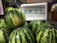 今日看料每日一瓜,丝瓜美食大集合，家常美味尽享健康生活