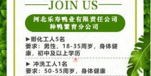 招聘启事范文简短,诚邀精英加入我们共创未来
